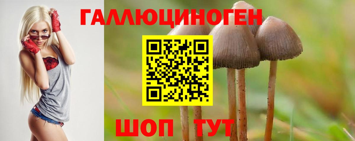 Электросталь  купить  цена  Вход с VPN  Псилоцибиновые грибы прущие грибы 